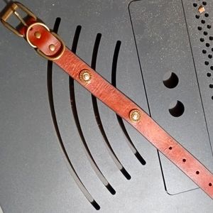 12 Guage leather collar <M>